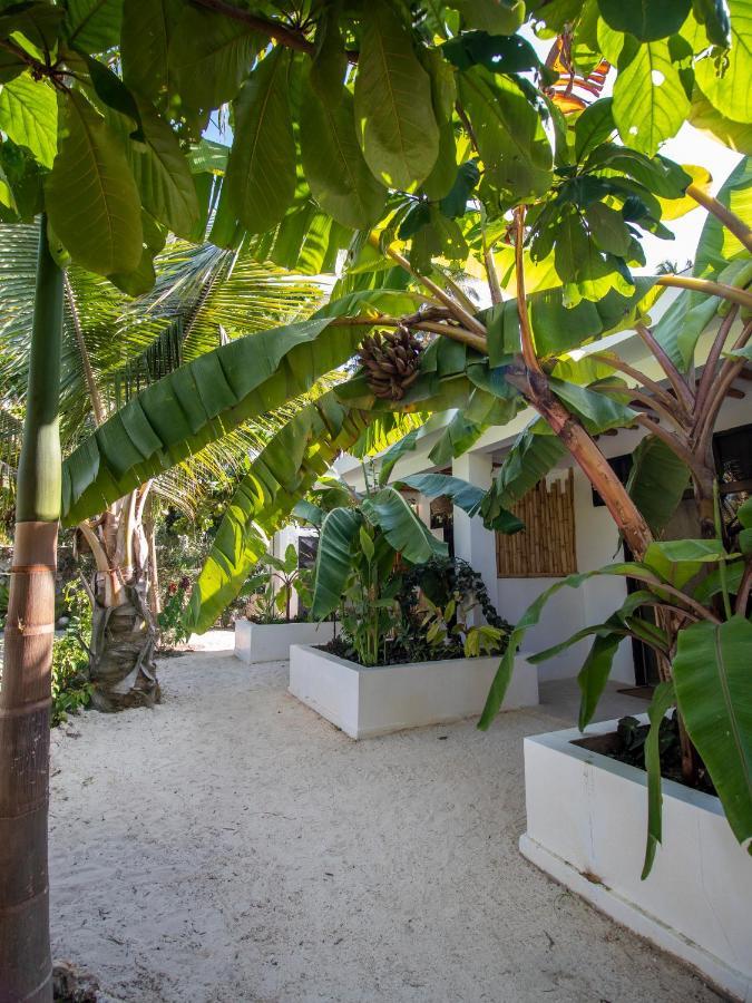 Tropical Oasis Boutique Hotel Michamvi Eksteriør bilde